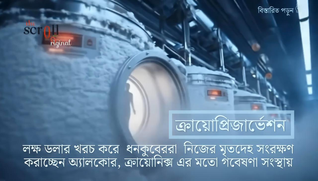 পুনর্জীবনের খোঁজে